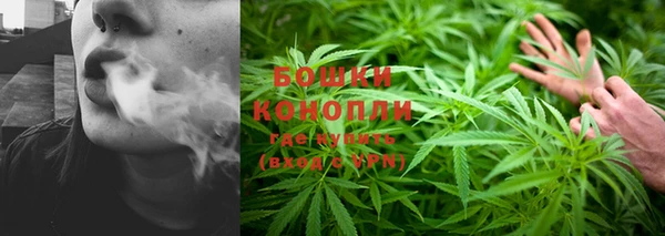 не бодяженный Дмитров