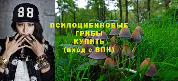 гидра Ельня