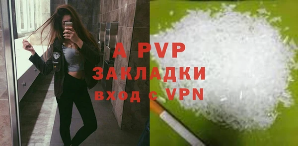 дмт Дмитриев