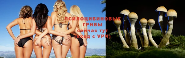 кокс Дмитровск