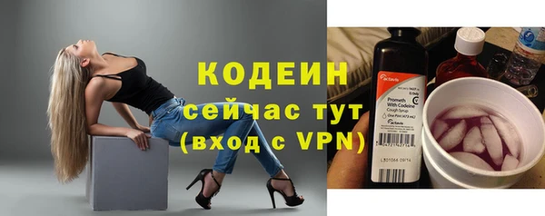 дмт Дмитриев