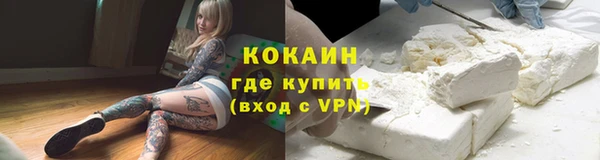дмт Дмитриев
