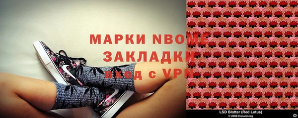 дмт Дмитриев