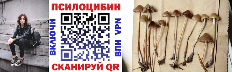 Галлюциногенные грибы мицелий  Купить где  Кропоткин 